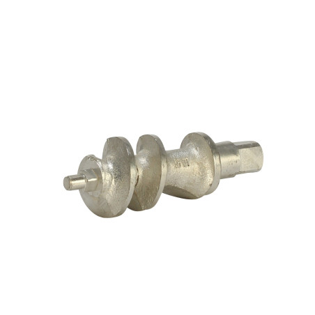 Vis sans fin pour hache-viande type 5 Reber