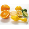 Presse citron manuel - Prepara