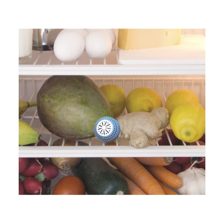 Boule frigo anti-odeur x2 - Totally Addict