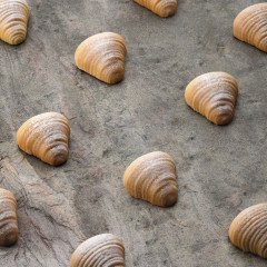 Moule silicone Sfogliatella 3D x30 Pavoflex - Pavoni Italia