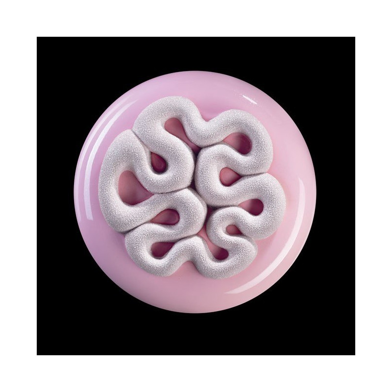 Moule silicone Top mini Jelly x2 - Pavoni