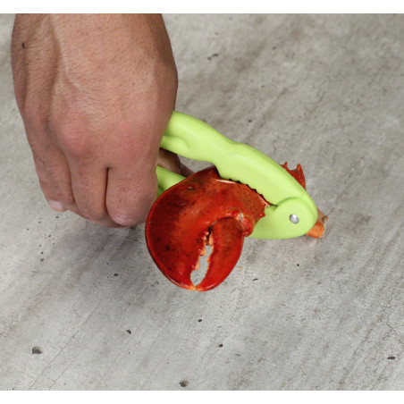 Pince à crabe