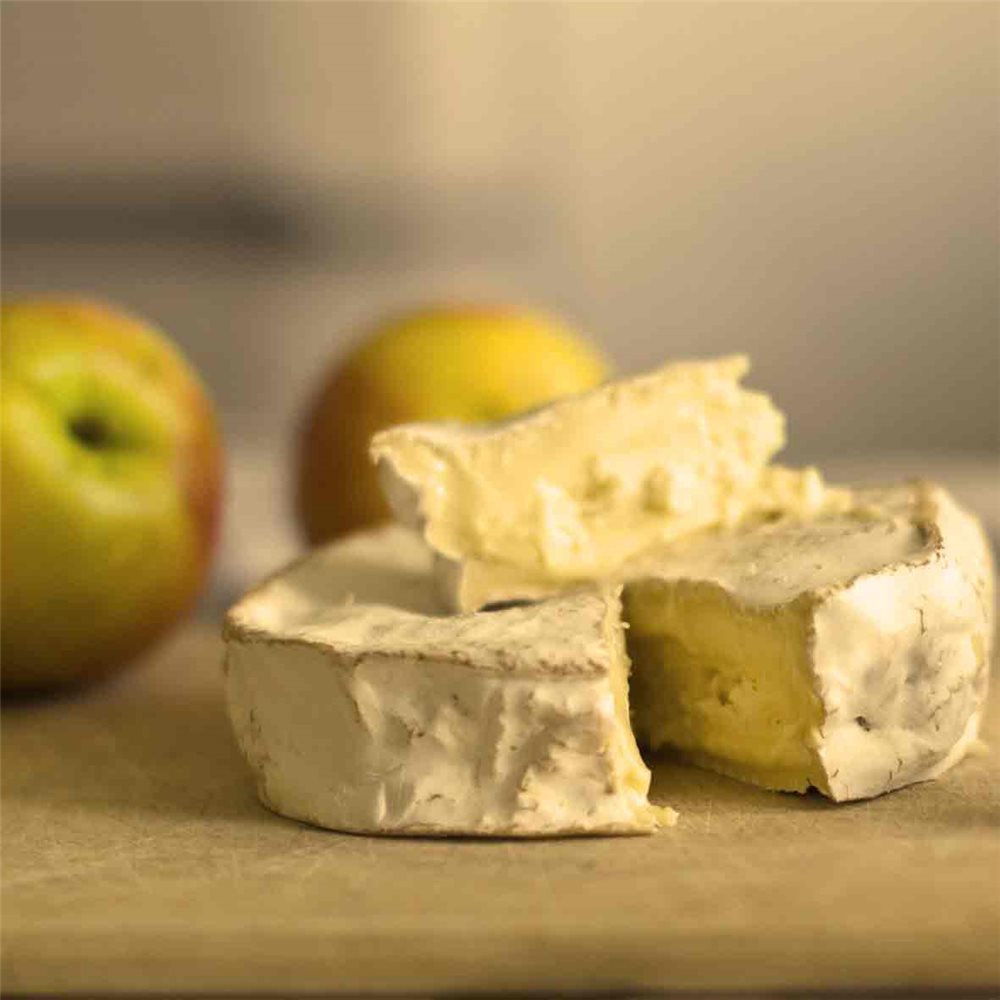 Kit alimentaire pour la fabrication du fromage à la maison Ingrédients,  étamine, thermomètre et fiches de recettes -  France